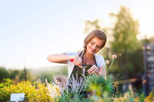 Professionally cleared Sydenham garden