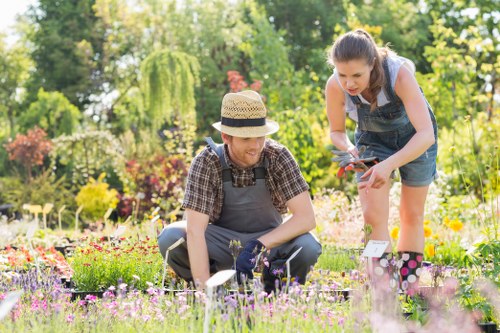 Professional hedge trimming services in Sydenham