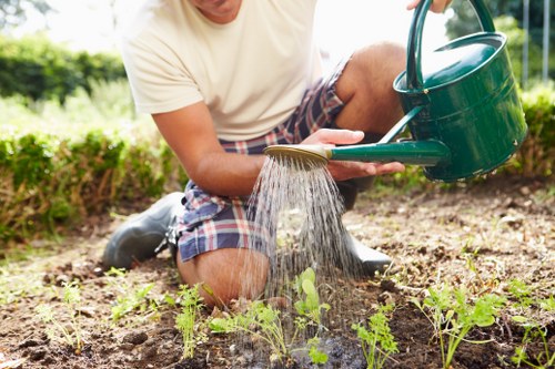 Seasonal lawn care practices in spring