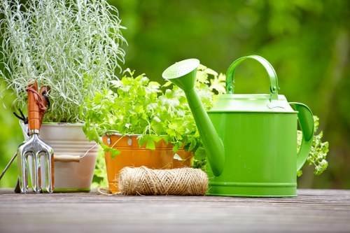 Comprehensive hedge care services