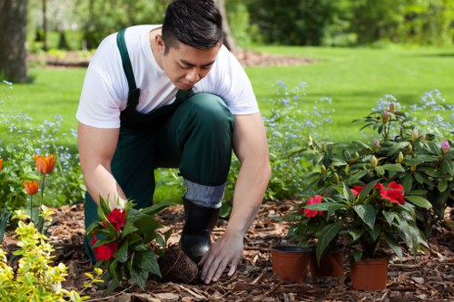 Garden design and installation services in Sydenham