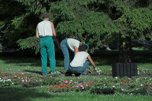 Sustainability practices in hedge trimming