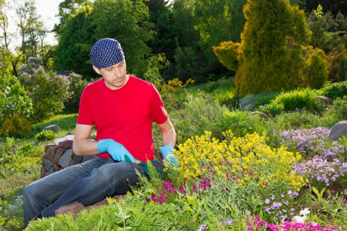 Sydenham resident enjoying a well-maintained hedge