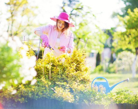 Technician preparing for hedge maintenance in Sydenham