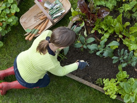 Professional landscaper maintaining a Sydenham garden