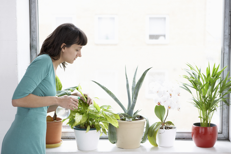 garden care garden
